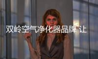 快排公司十年历程，霸屏兔 seo 的崛起与坚守