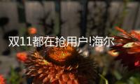 快排公司十年历程，霸屏兔 seo 的崛起与坚守