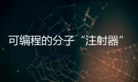 快排公司十年历程，霸屏兔 seo 的崛起与坚守