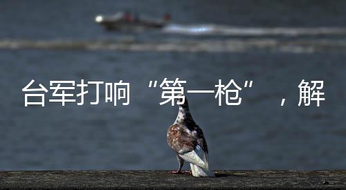 台军（资料图）有台退将直言