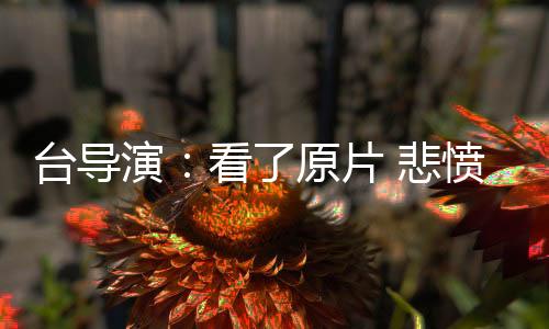 “大卫挺上相的悲愤