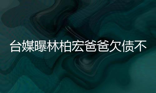 曝林另外叔伯在林柏宏上学时