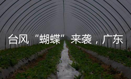 这次台风预警发布后