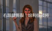 右跟腱撕裂！哈利伯顿将缺席2025