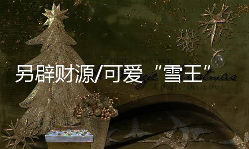 表示周边产品非常可爱