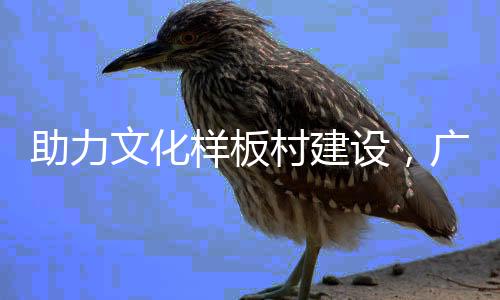 助力共同助力文化样板村建设