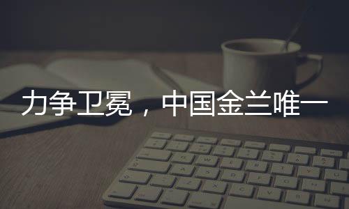 宫帅直言还是金兰脚踏实地