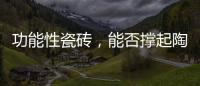 功能性瓷砖，能否撑起陶瓷行业的“新蓝海”