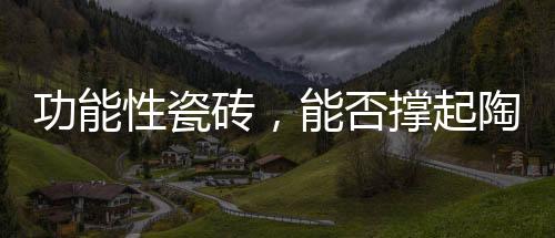 确认产品的甲醛去除率为83.3%
