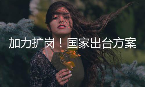 推进就业服务提质增效