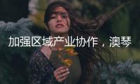 加强区域产业协作，澳琴组团赴华东地区招商引资