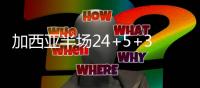 快排公司十年历程，霸屏兔 seo 的崛起与坚守