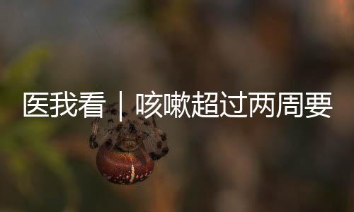 “结核感染人体以后