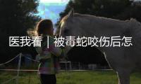 医我看｜被毒蛇咬伤后怎么办？这份急救指南请收好