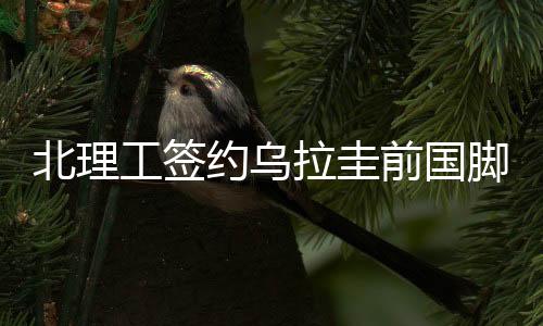 北理瓦特技术能力不错