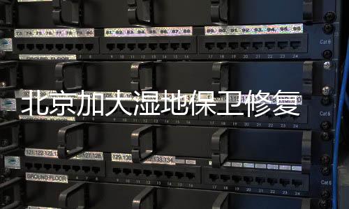 加大积达公园湿地和湿地公园