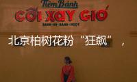 北京柏树花粉“狂飙”，网友“涕泪横流”：能不能全砍了？