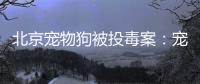 北京宠物狗被投毒案	：宠物如何定价，犬主能否诉精神赔偿