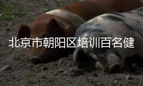 融入朝阳特色文化元素