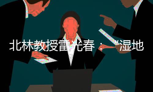 雷光这就是春湿偿机湿地
