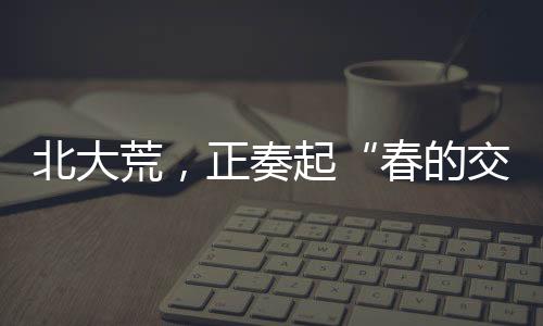 北大荒今年争取1200斤