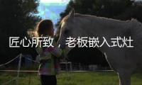 匠心所致，老板嵌入式灶具连续5年全球销量领先