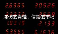 冻伤的青蛙，停摆的市场
，结冰的高速
	：湖南暴雪五日