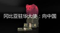 冈比亚驻华大使�：向中国学习如何让人民摆脱贫困
