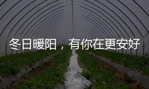 心灵放逐的冬日暖阳小天地