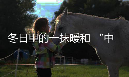 做好品牌的冬日战略升级