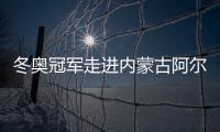 快排公司十年历程，霸屏兔 seo 的崛起与坚守