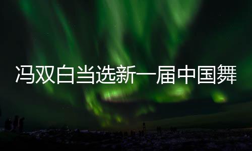 冯双白在致闭幕词时表示