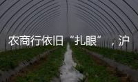 农商行依旧“扎眼”，沪农商行摘“罚金之王”｜金融合规榜