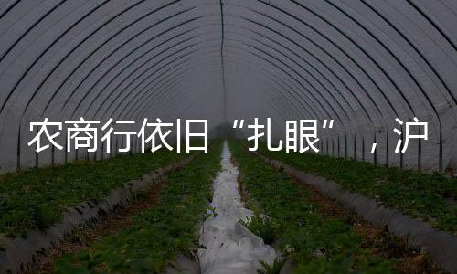 从单张罚单罚金来看
