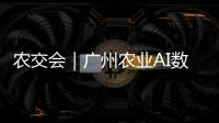 农交会｜广州农业AI数字人矩阵小科普：如何选购优质广东丝苗米？