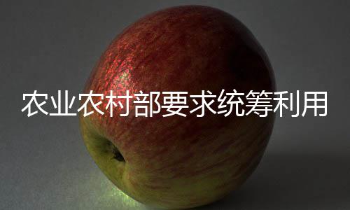业生对丘陵地区撂荒地