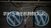 农村市场生机勃勃 知名灶具品牌发展潜力大