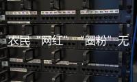 快排公司十年历程，霸屏兔 seo 的崛起与坚守