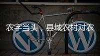 农字当头，县域农村对农行的贡献度有多高
	？丨透视银行业年报⑥