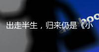 快排公司十年历程，霸屏兔 seo 的崛起与坚守