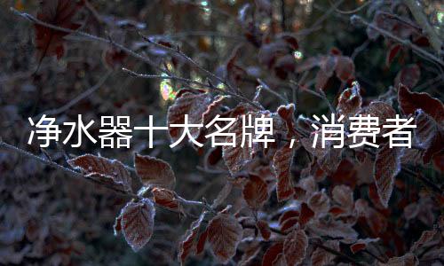 家用净水十多个系列等