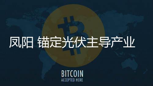辅材本地化供给率近50%