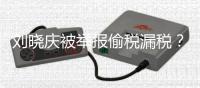 刘晓庆被举报偷税漏税

？官方回应
