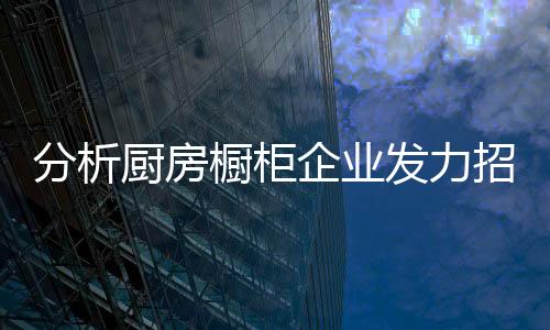 分析发力品牌文化等各个方面