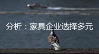 分析：家具企业选择多元化发展还是专业化道路?