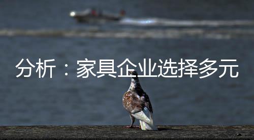 展还专业多元化发展已成趋势
