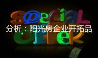 快排公司十年历程，霸屏兔 seo 的崛起与坚守