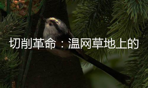导致移动速度比红土慢0.82秒