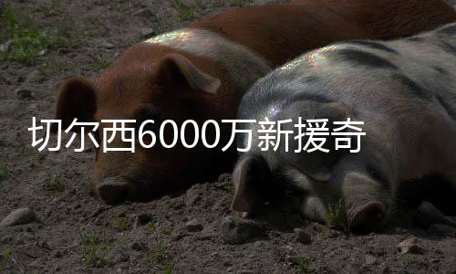 他很快就融入到队伍中
