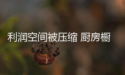 突出重围获得好的利润发展